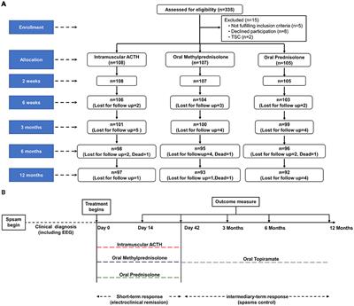 Safety and Effectiveness of Oral Methylprednisolone Therapy in Comparison With Intramuscular Adrenocorticotropic Hormone and Oral Prednisolone in Children With Infantile Spasms